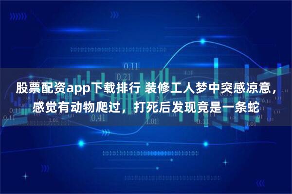 股票配资app下载排行 装修工人梦中突感凉意，感觉有动物爬过，打死后发现竟是一条蛇