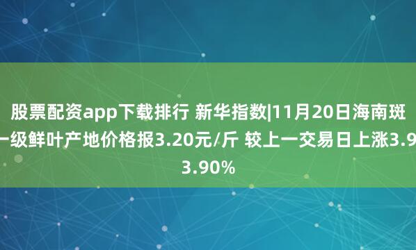 股票配资app下载排行 新华指数|11月20日海南斑兰一级鲜叶产地价格报3.20元/斤 较上一交易日上涨3.90%